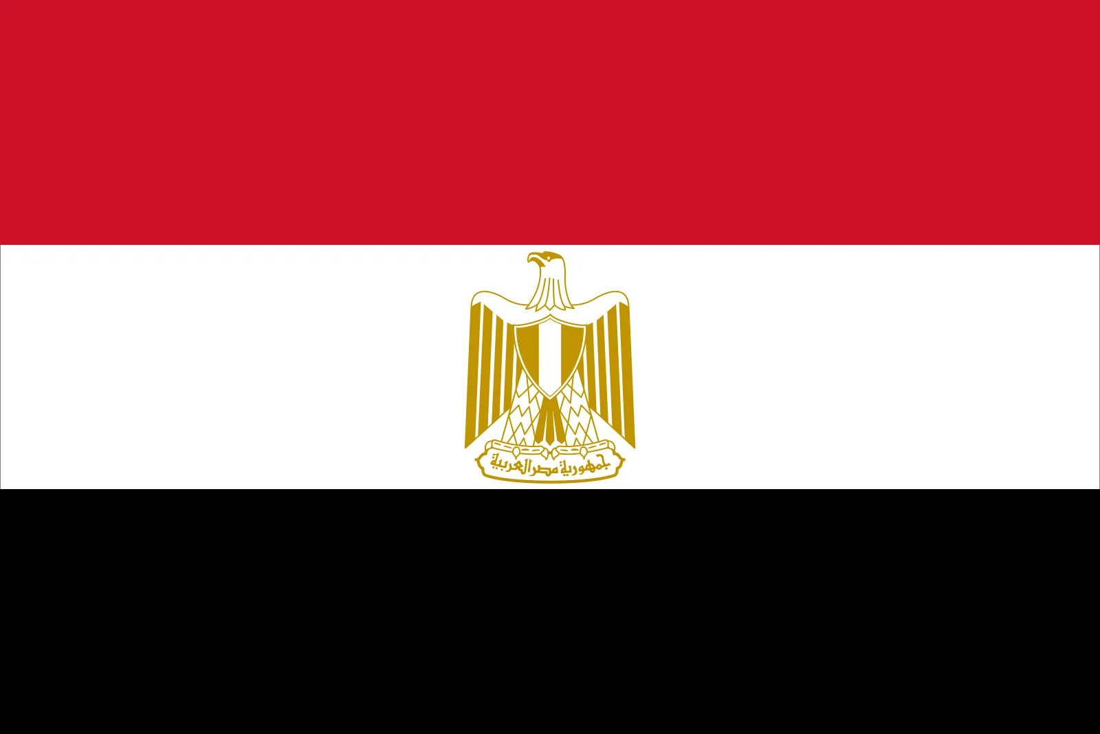 نبضي